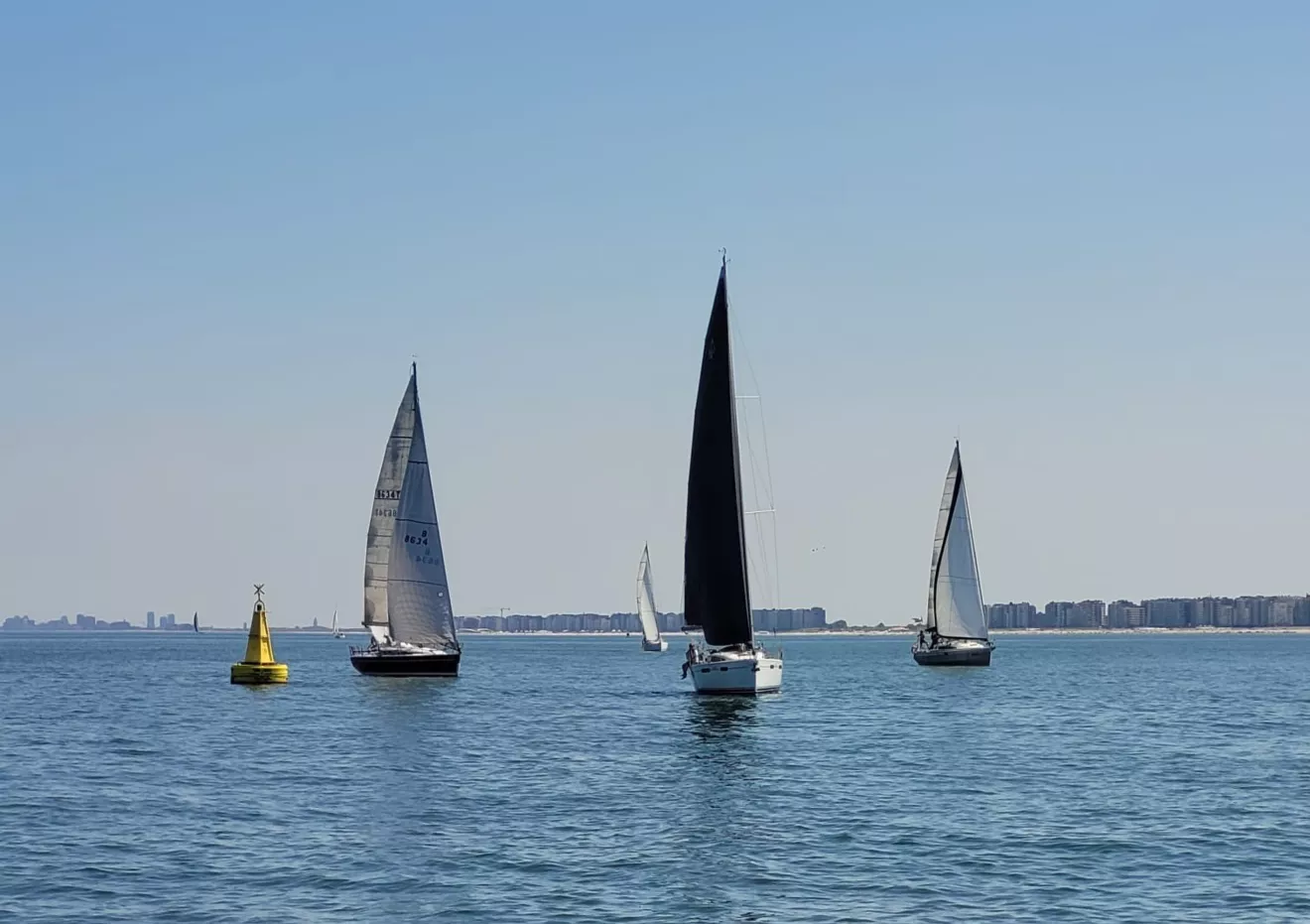 spring 6 -  - Korte zeiltocht